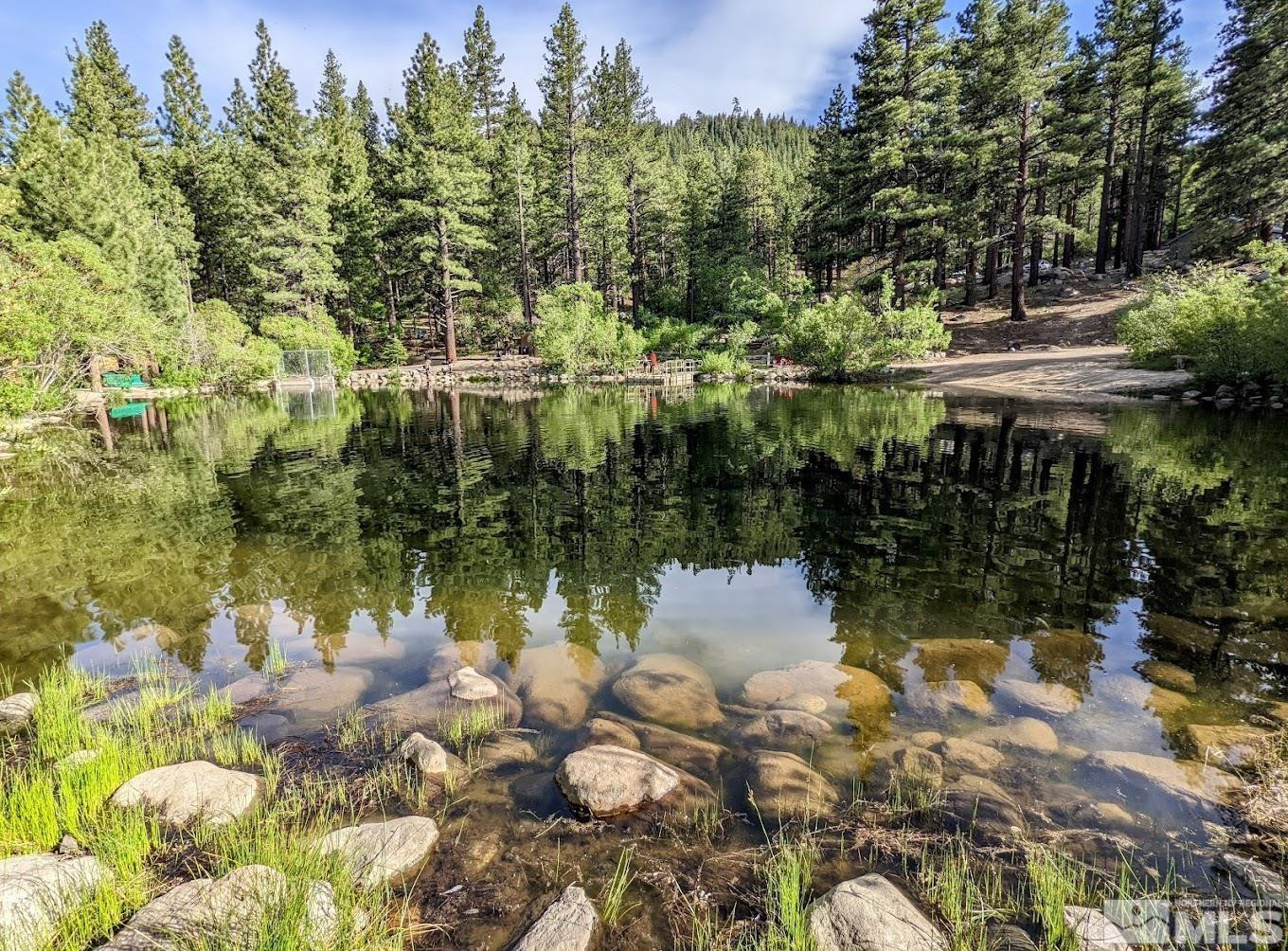 205 Scotch Pine Road Reno, NV 89511 - Photo 42 of 43 Photo 30