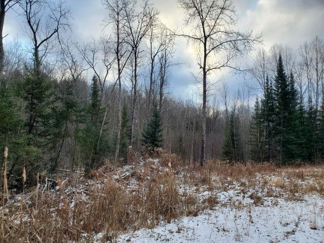 0 Sage Lake Road Lupton, MI 48635 - Photo 6 of 7