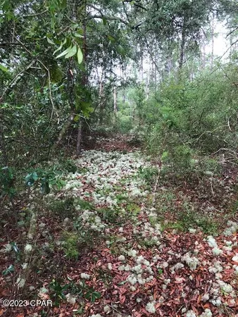 $165,000 | 0 Sunrise Way, Panama City, FL 32409