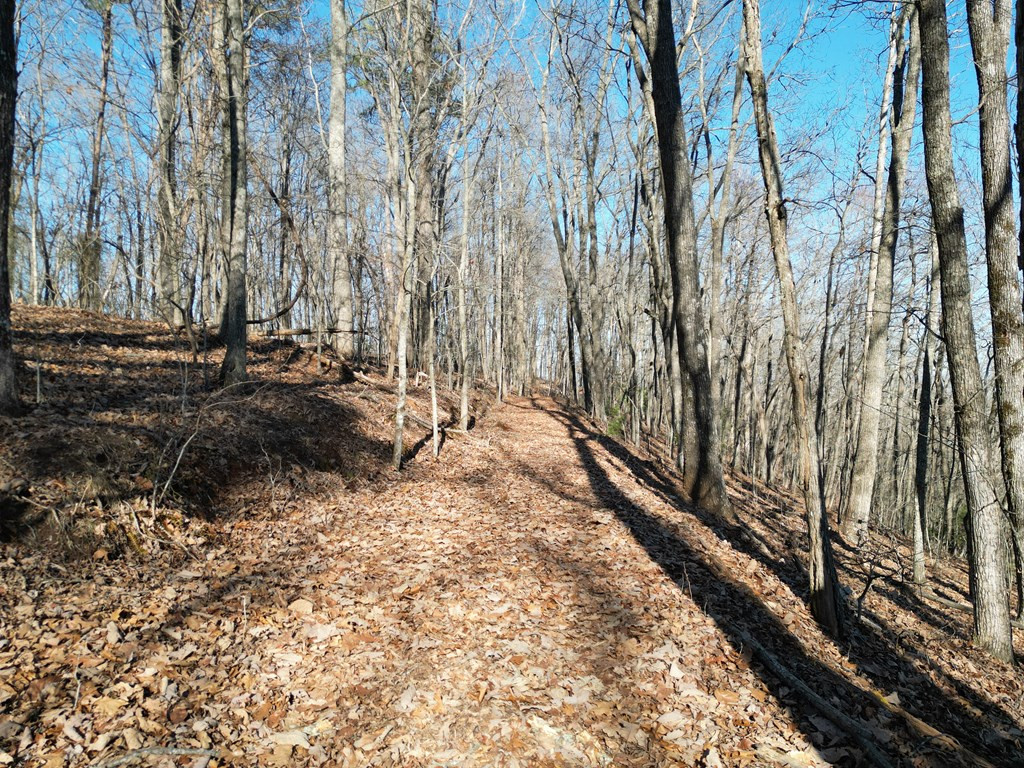 20.05-ac Treehouse Trail Murphy, NC 28906 - Photo 5 of 14
