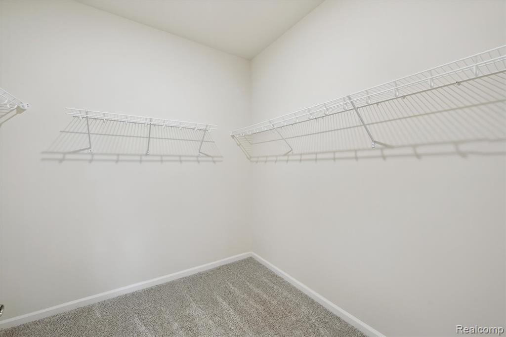 1065 Spring Trail Brighton, MI 48116 - Photo 22 of 61