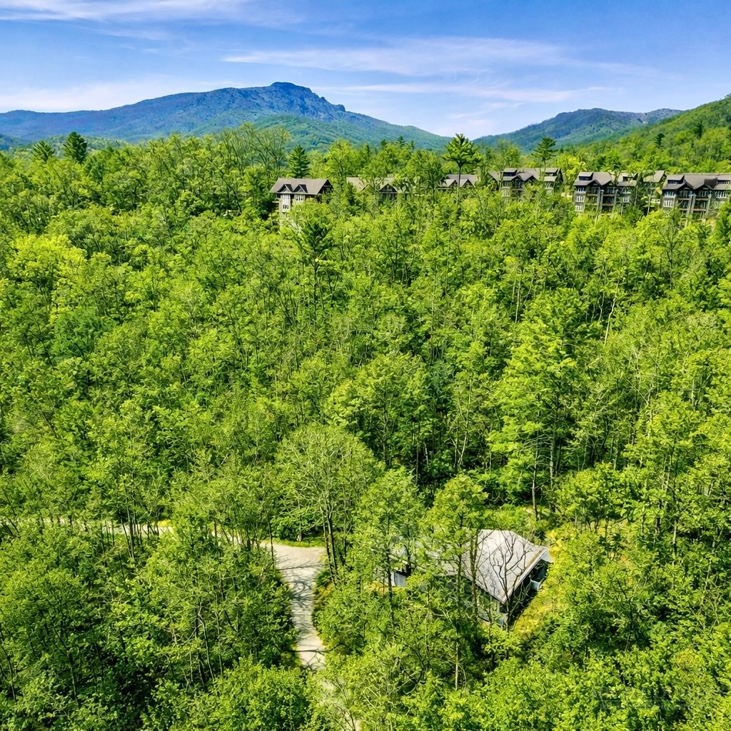 913 Winterberry Trail Boone, NC 28607 - Photo 2 of 43