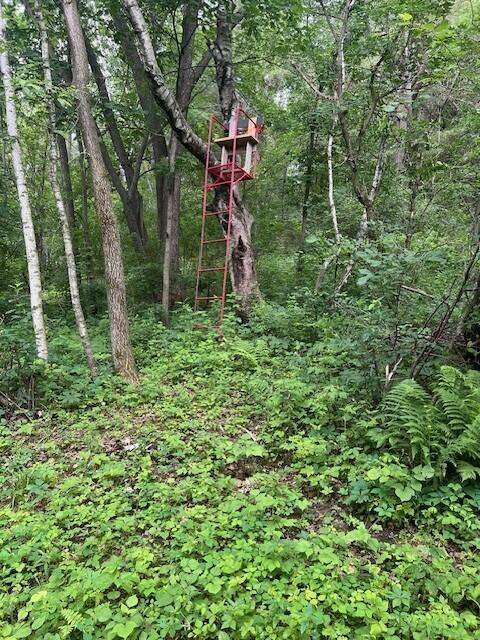 W25757 Bear Coulee Road Dodge, WI 54661 - Photo 66 of 91 Hunting Stand_