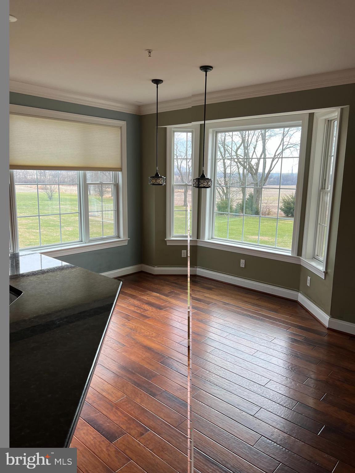 3913 Cap Stine Road Frederick, MD 21703 - Photo 7 of 19 a view of a room with wooden floor wooden floor and garden