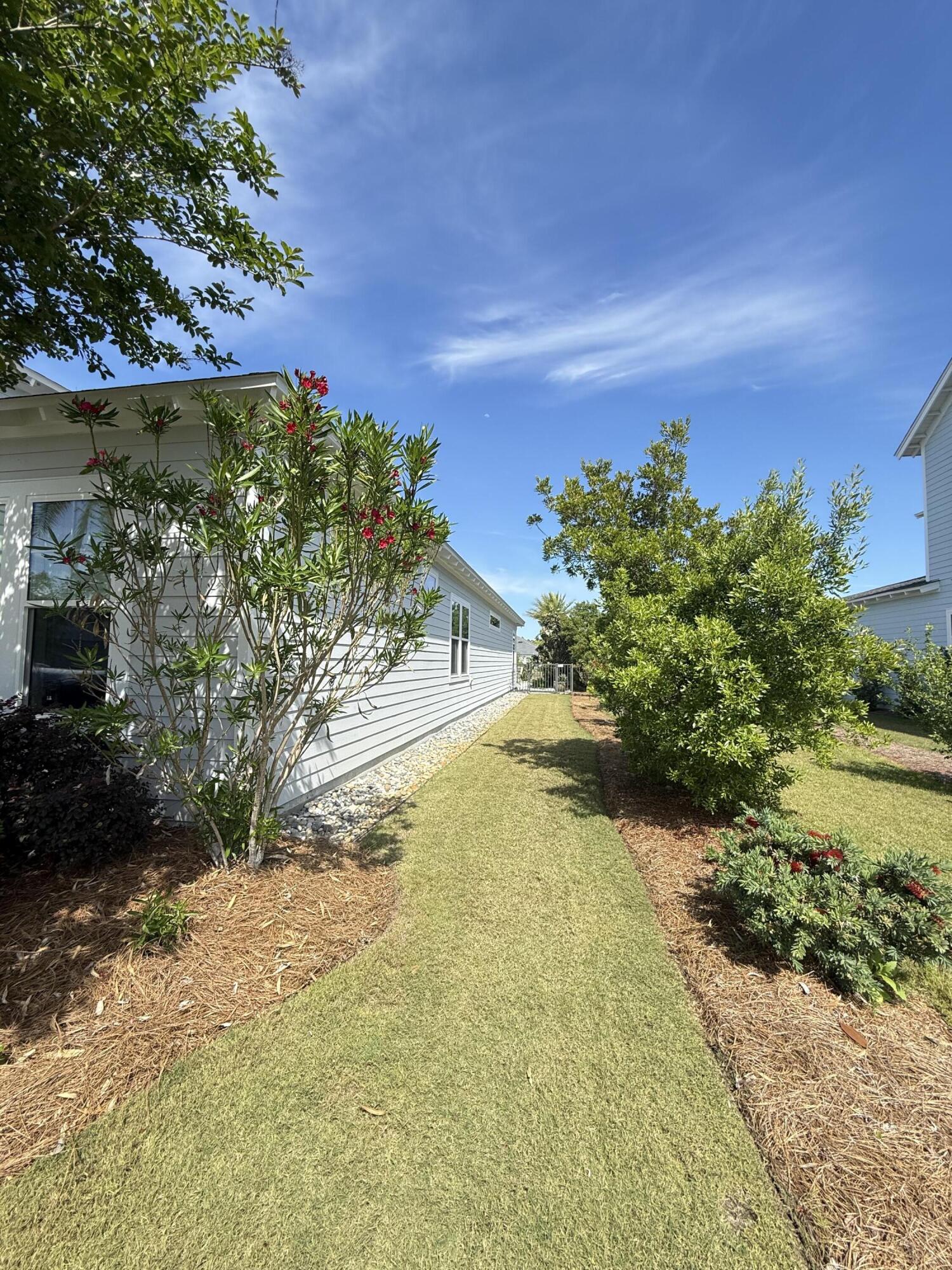 70 River Rise Way Inlet Beach Inlet Beach, FL 32461 - Photo 50 of 59 a view of a yard with plants