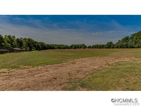 4694 Peniel Road Tryon, NC 28782 - Photo 3 of 14