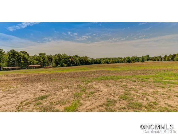 4694 Peniel Road Tryon, NC 28782 - Photo 4 of 14