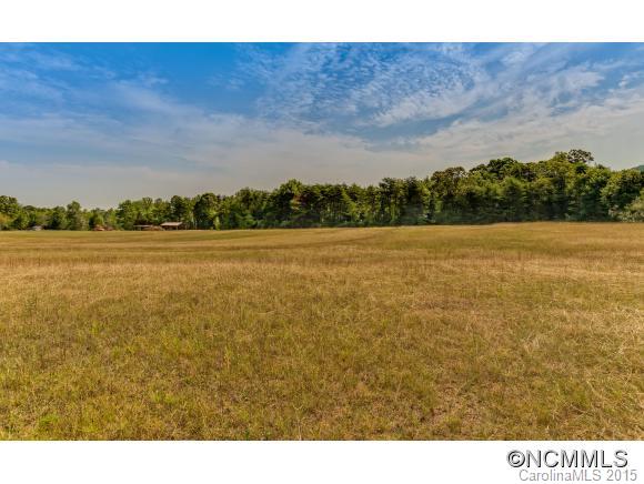 4694 Peniel Road Tryon, NC 28782 - Photo 5 of 14