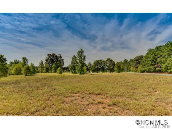 4694 Peniel Road Tryon, NC 28782 - Photo 6 of 14