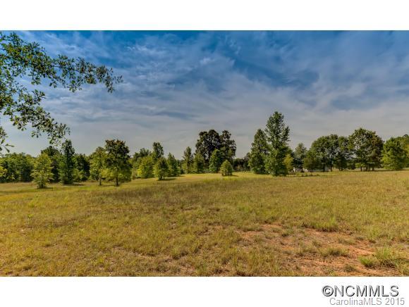 4694 Peniel Road Tryon, NC 28782 - Photo 7 of 14
