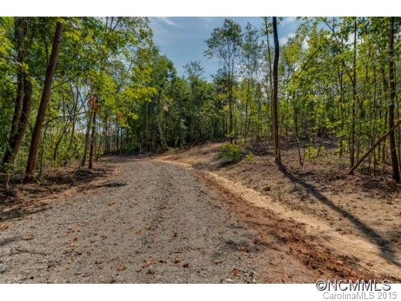 4694 Peniel Road Tryon, NC 28782 - Photo 10 of 14