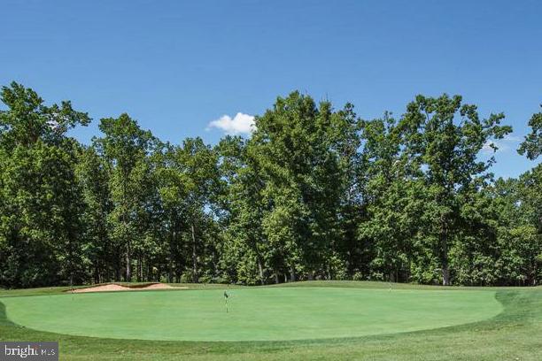 501 Harrison Circle Locust Grove, VA 22508 - Photo 53 of 58 Golf courses