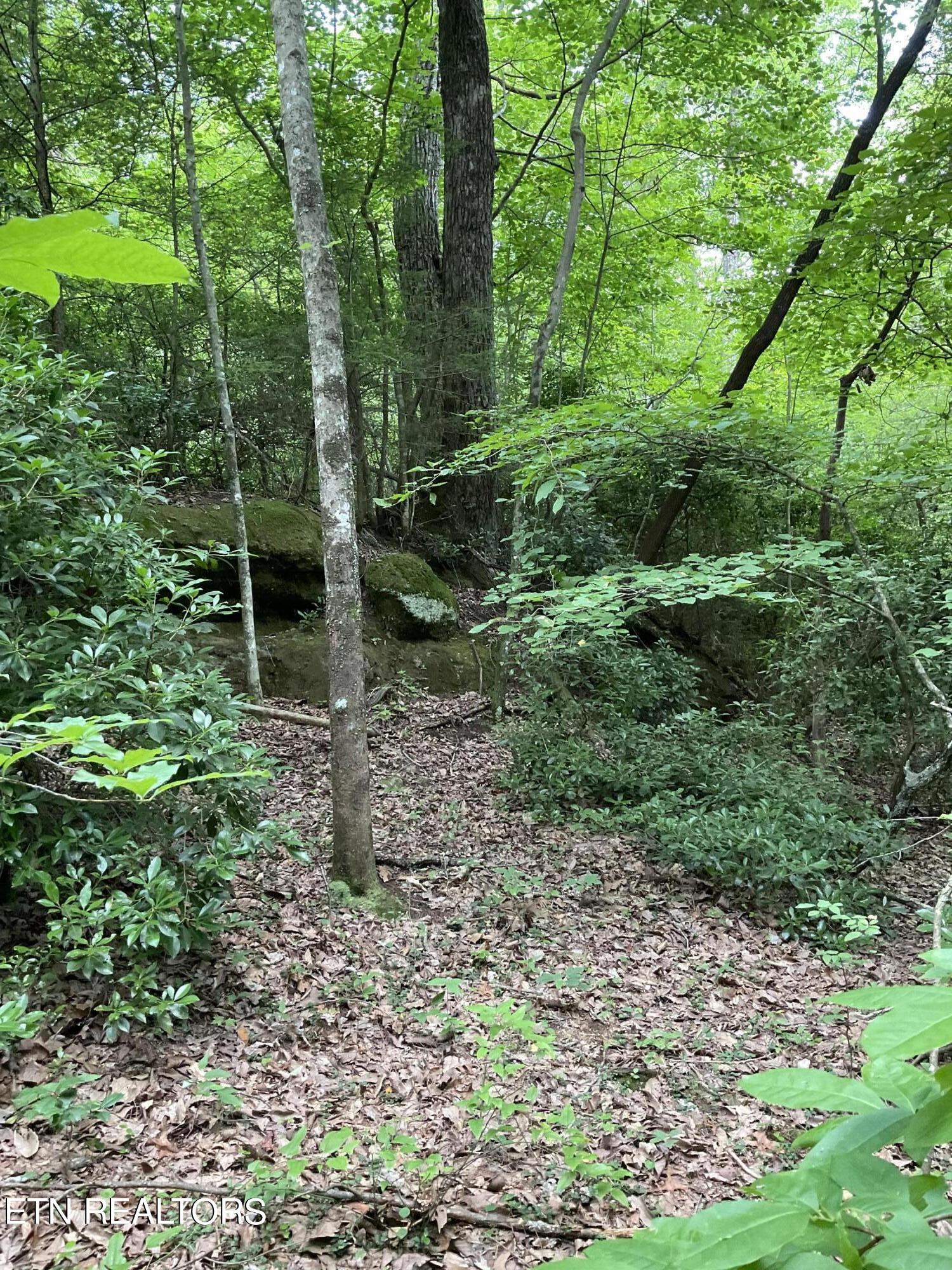 Harv Loop Monterey, TN 38574 - Photo 2 of 8 IMG_1853
