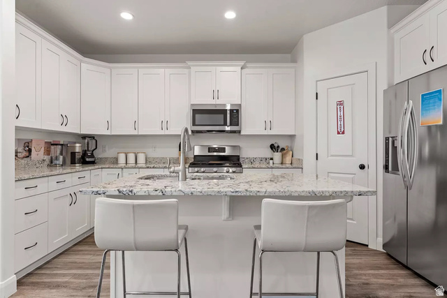 1166 North Riviera Alley Washington, UT 84780 - Photo 6 of 26 Kitchen featuring stainless steel appliances, white cabinetry, light stone counters, a kitchen island with sink, and recessed lighting