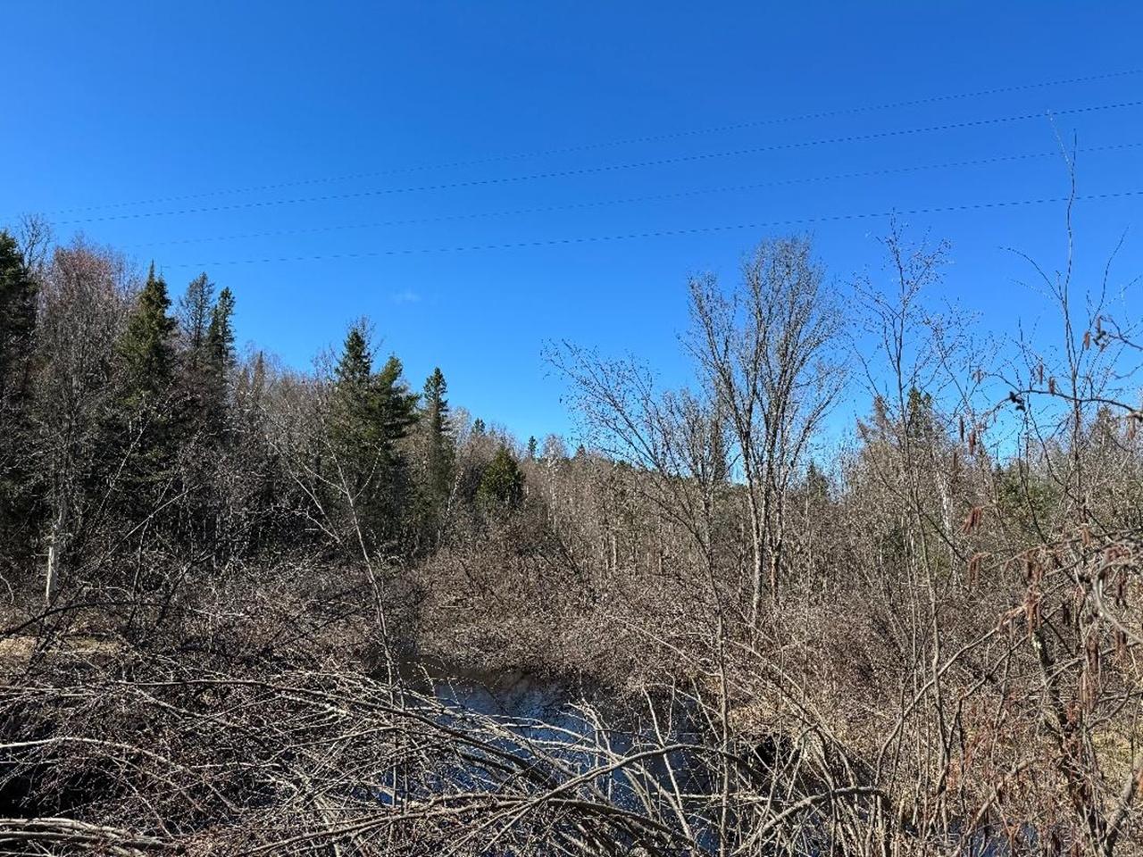4074 Weber Road Mercer, WI 54547 - Photo 20 of 27 Gallery Image 20