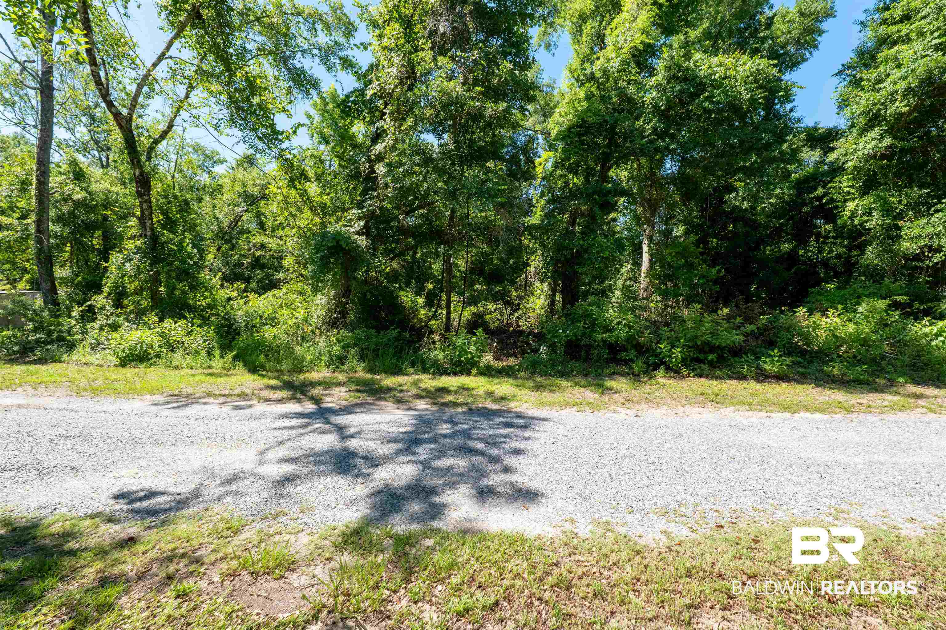 0 George Street Gulf Shores, AL 36542 - Photo 3 of 4 View of street with a forest view