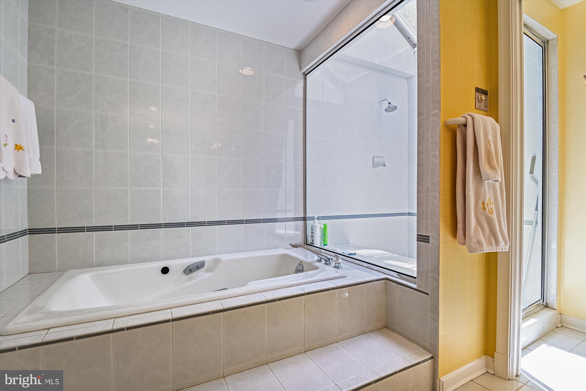 1717 Circle Road Baltimore, MD 21204 - Photo 36 of 96 Primary bathroom