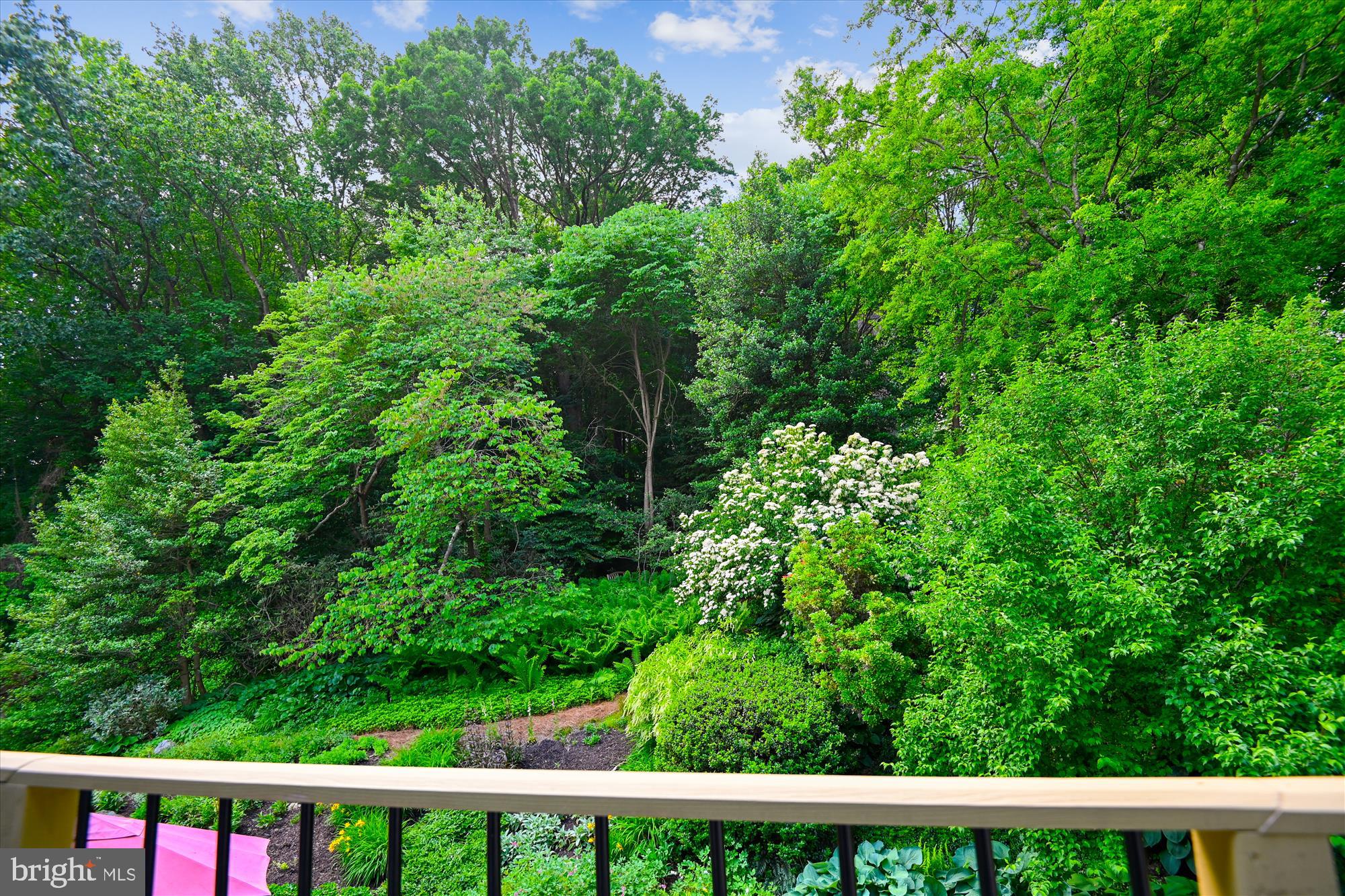 1717 Circle Road Baltimore, MD 21204 - Photo 66 of 96 View of garden from primary bedroom