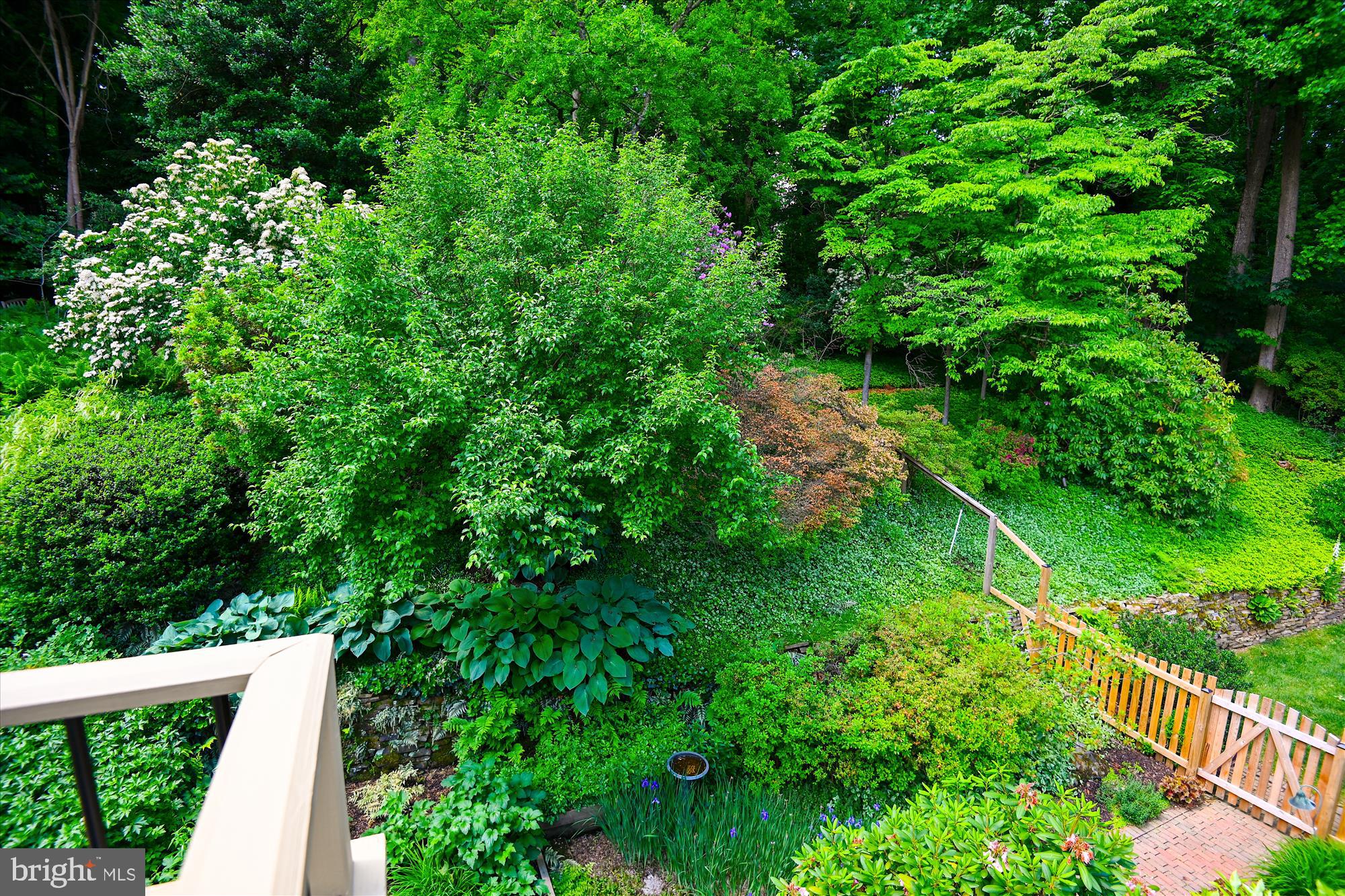 1717 Circle Road Baltimore, MD 21204 - Photo 67 of 96 View of garden from primary bedroom
