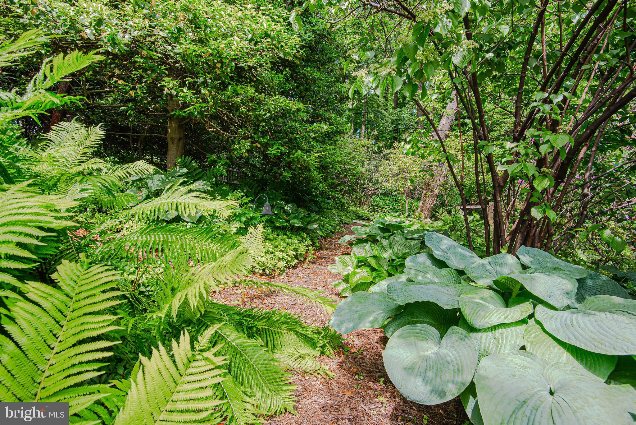 1717 Circle Road Baltimore, MD 21204 - Photo 83 of 96 Gardens