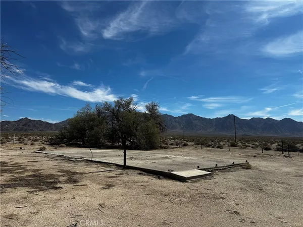 a view of a dry yard