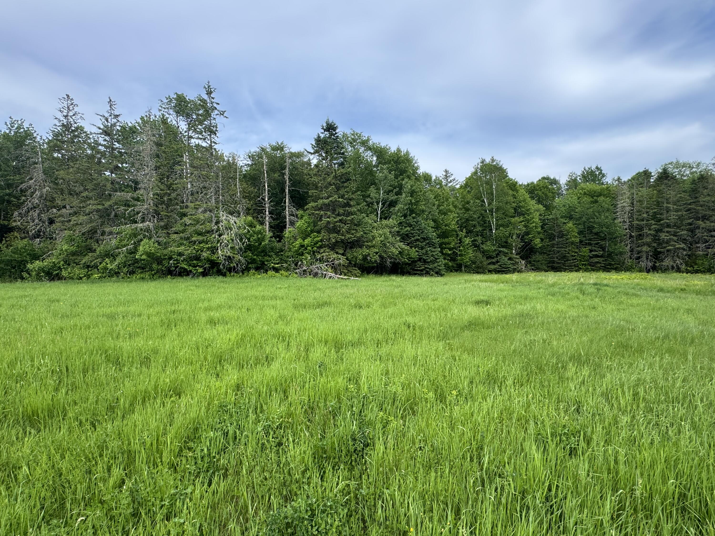 Lot 51 Peters Cove Road Orient, ME 04471 - Photo 4 of 7 IMG_3882
