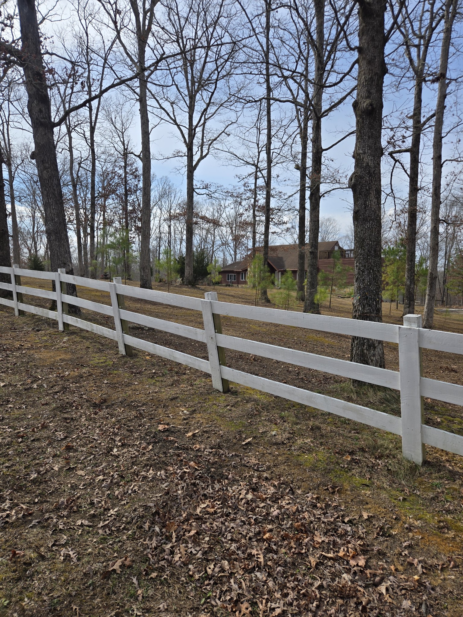 306 Cottrell Ridge Road Dover, TN 37058 - Photo 3 of 17 Gallery Image 3