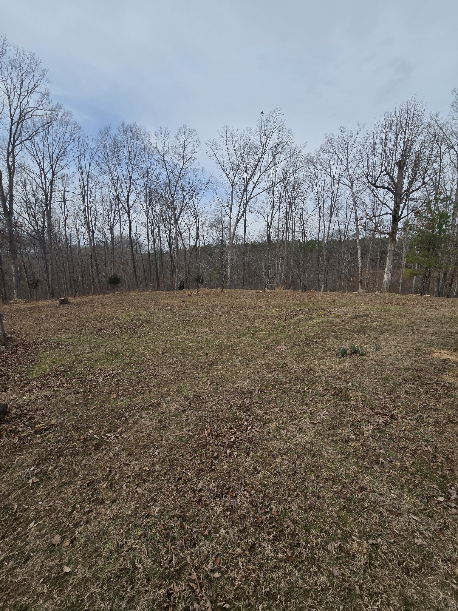 306 Cottrell Ridge Road Dover, TN 37058 - Photo 6 of 17 Gallery Image 6