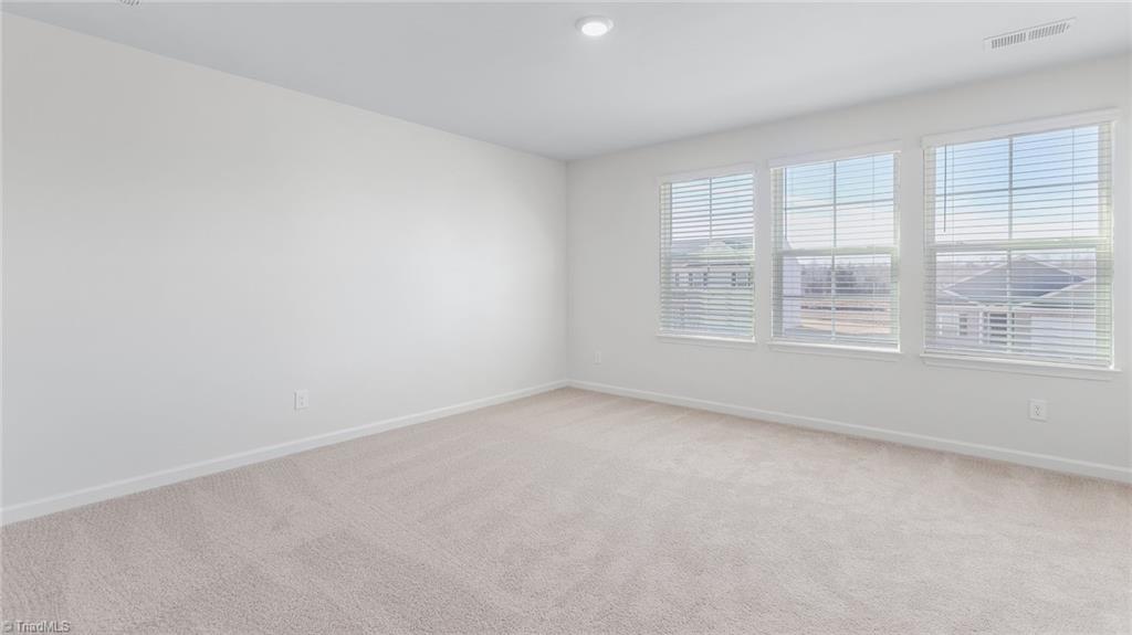 136 West Farm Loop Stokesdale, NC 27357 - Photo 27 of 28 *photos are of model home and are for representational purposes only.