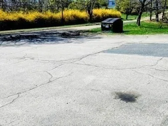 a view of a backyard