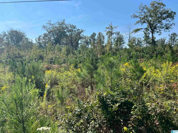 $758,725 | 0 Shore Drive, Ashville, AL 35953