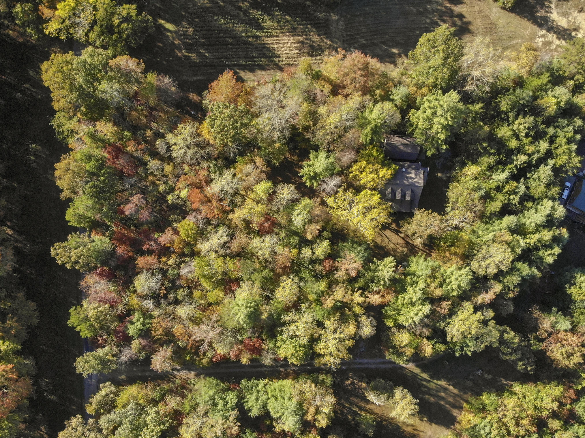 171 Massingale Road Tellico Plains, TN 37385 - Photo 50 of 51 DJI_0308