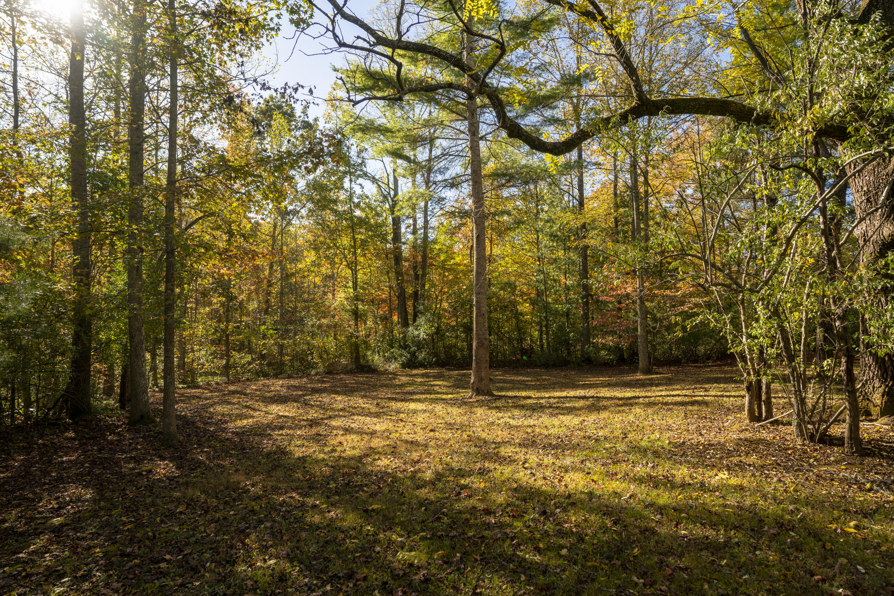 171 Massingale Road Tellico Plains, TN 37385 - Photo 7 of 51 _DSC6943