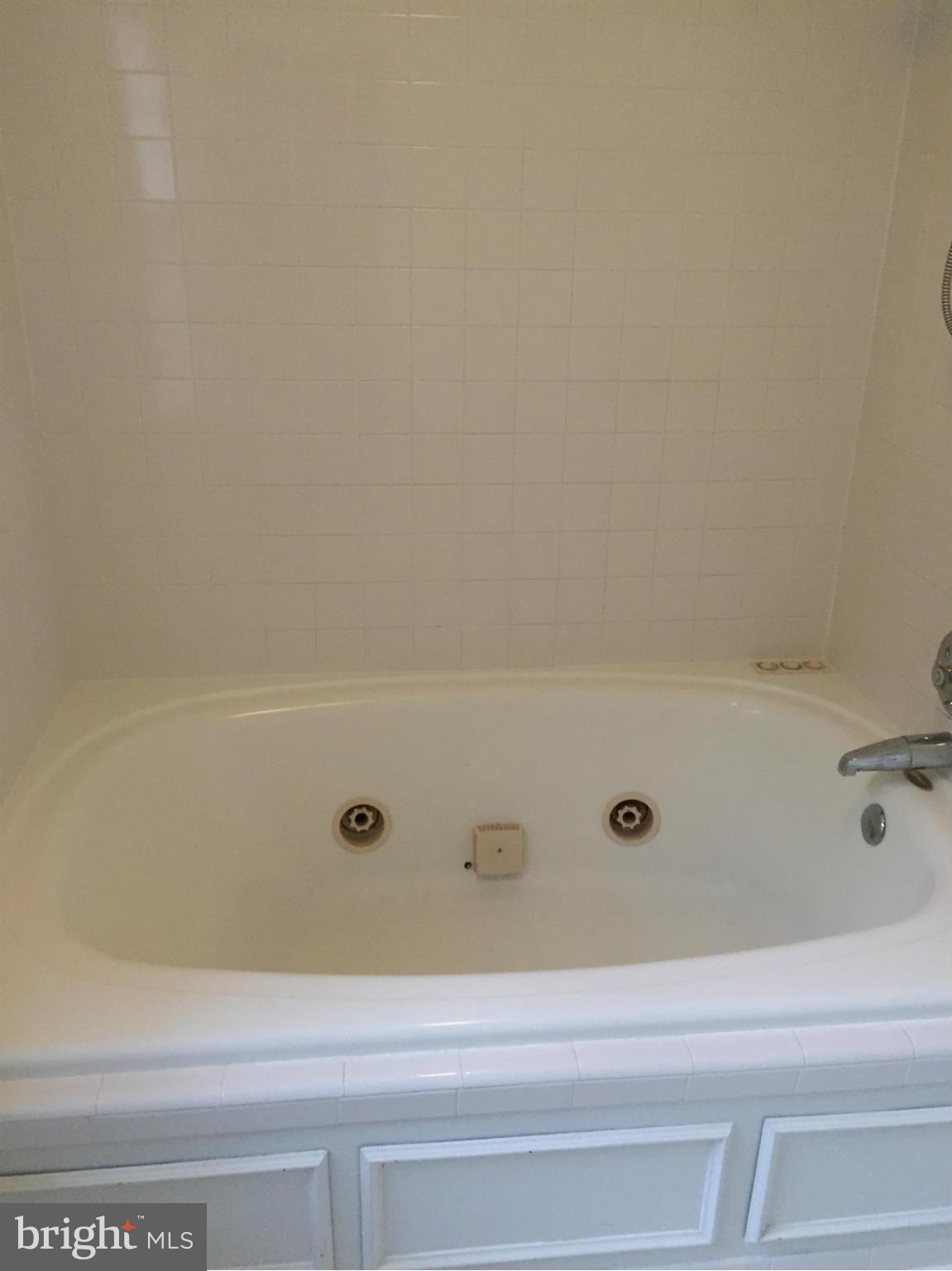 9806 Spring Ridge Lane Vienna, VA 22182 - Photo 14 of 30 Bath (Master)