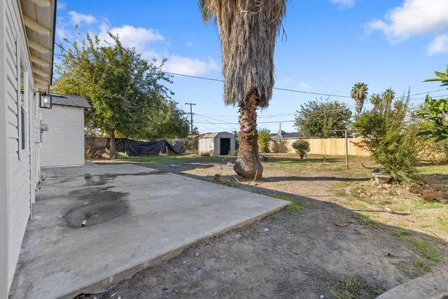 a view of a yard with plants and trees