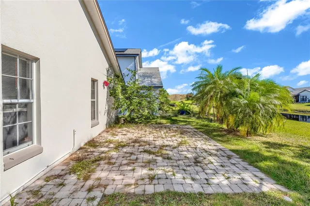 a view of a yard with plants and trees