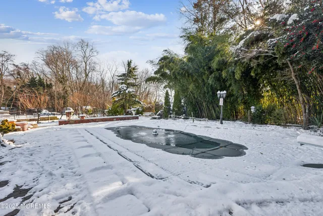 a view of road with with large trees