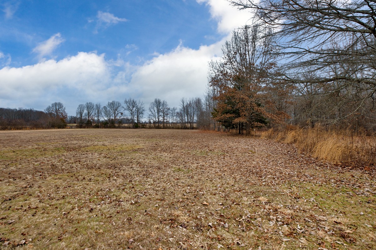 236 Old Baptist Road Ardmore, TN 38449 - Photo 14 of 15 a view of lake view and mountain view