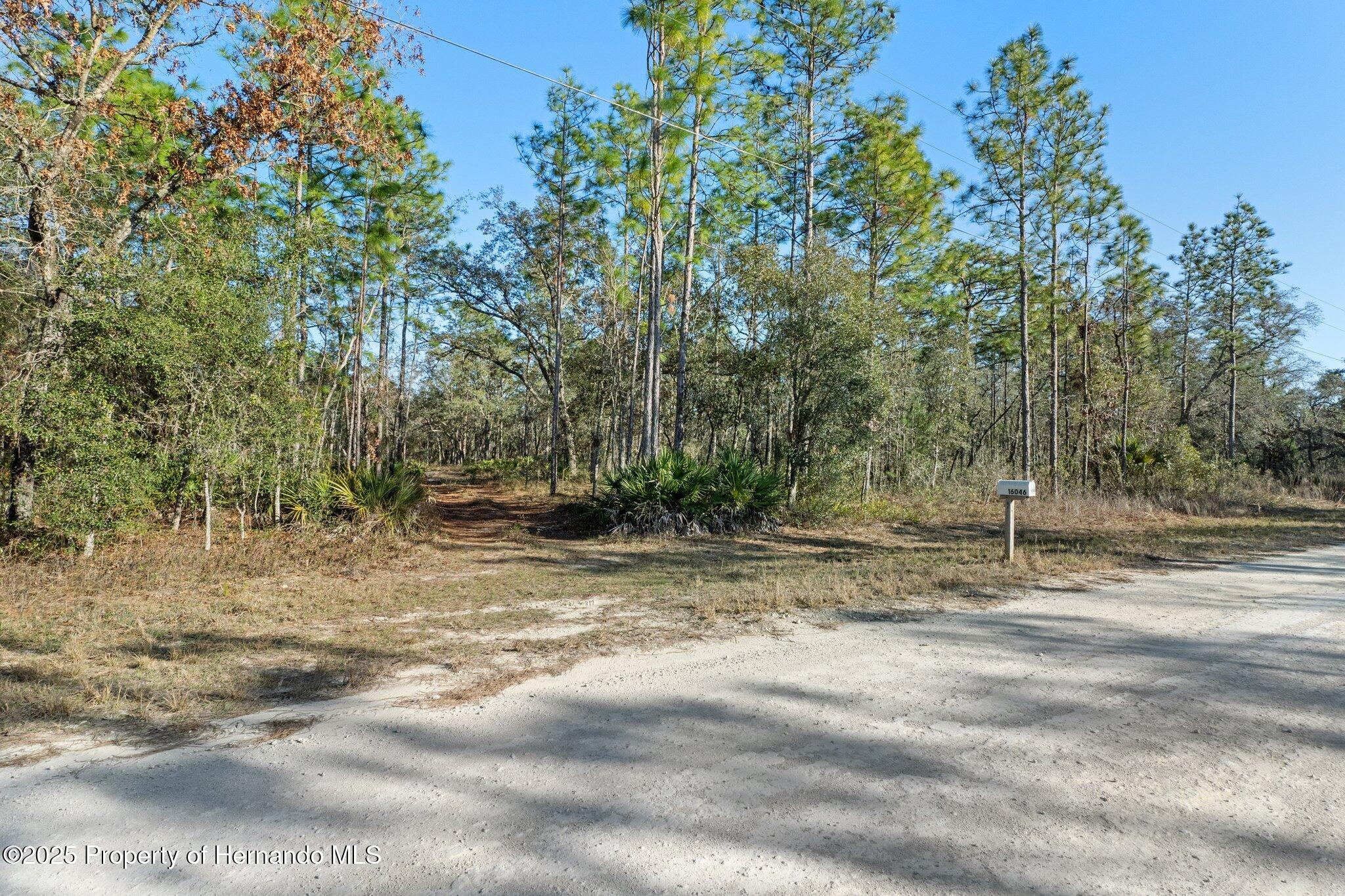 16046 Magpie Road Brooksville, FL 34614 - Photo 13 of 17