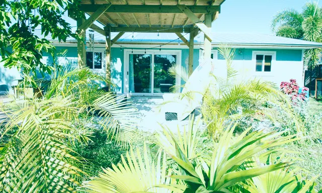 a view of a house with potted plants and a large tree