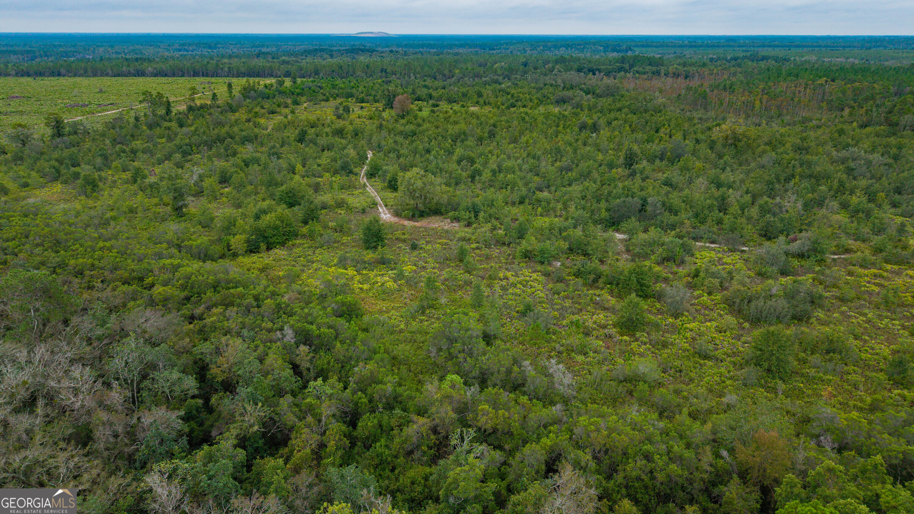 0 Bennett Road Screven, GA 31560 - Photo 35 of 52 Gallery Image 35