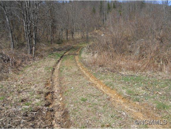 0 Bluff Mountain Road Hot Springs, NC 28743 - Photo 2 of 10 Gallery Image 2