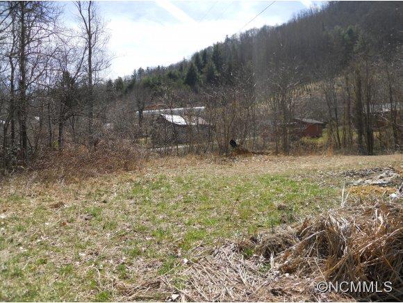 0 Bluff Mountain Road Hot Springs, NC 28743 - Photo 3 of 10 Gallery Image 3