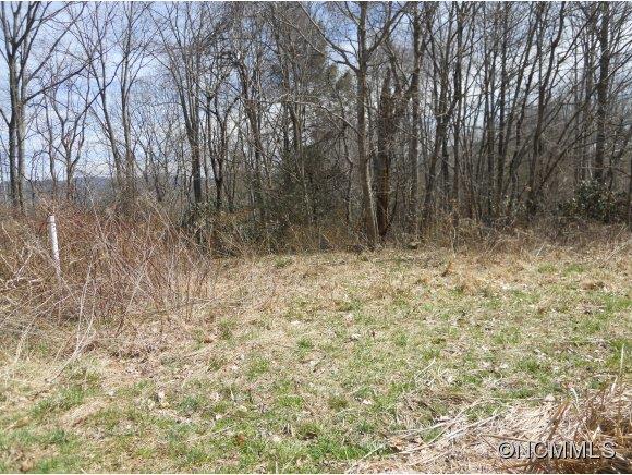 0 Bluff Mountain Road Hot Springs, NC 28743 - Photo 4 of 10 Gallery Image 4