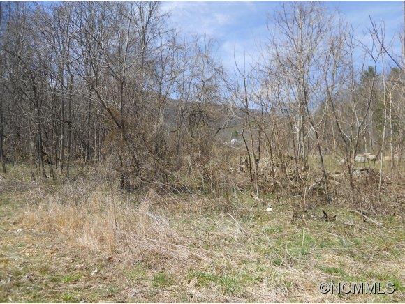 0 Bluff Mountain Road Hot Springs, NC 28743 - Photo 5 of 10 Gallery Image 5