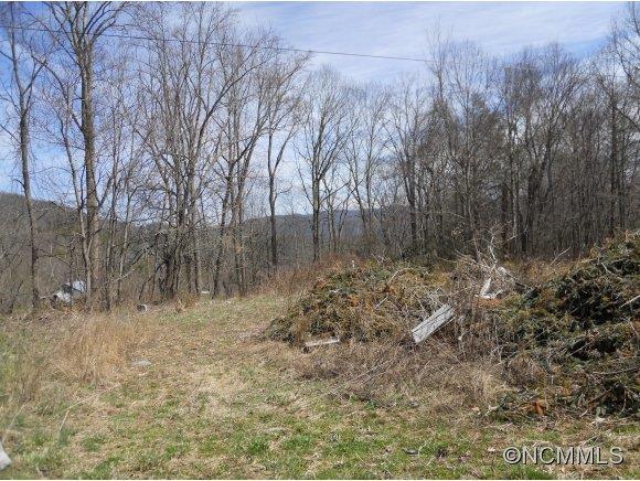 0 Bluff Mountain Road Hot Springs, NC 28743 - Photo 6 of 10 Gallery Image 6