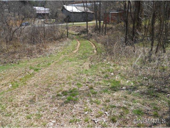 0 Bluff Mountain Road Hot Springs, NC 28743 - Photo 8 of 10 Gallery Image 8