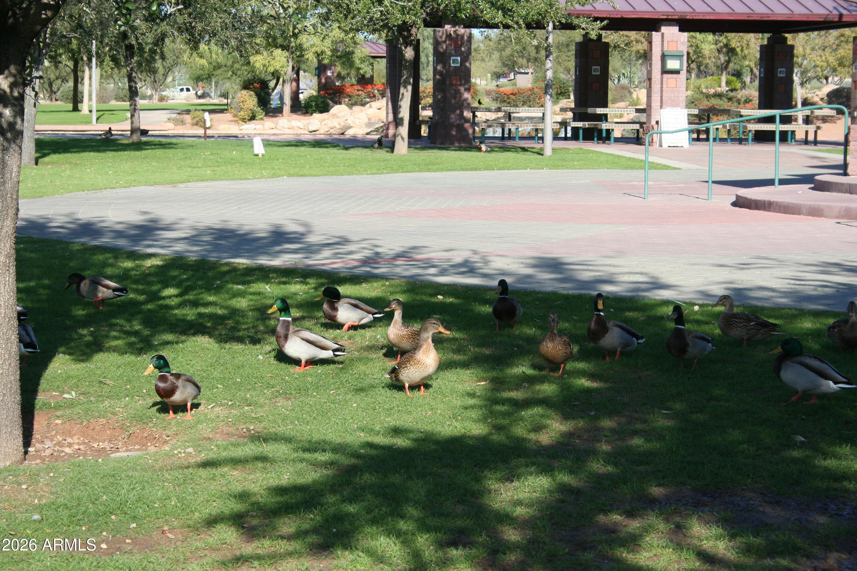 3448 West Webster Court Anthem, AZ 85086 - Photo 33 of 40 a view of a backyard with sitting area