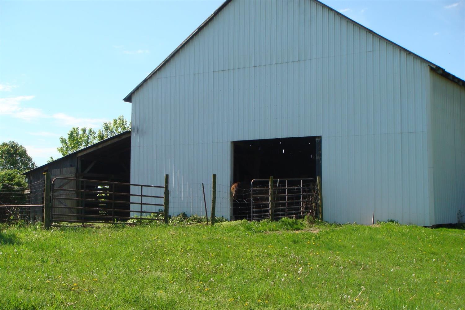 1396 Ratliff Road Sharpsburg, KY 40374 - Photo 14 of 61 Photo 14