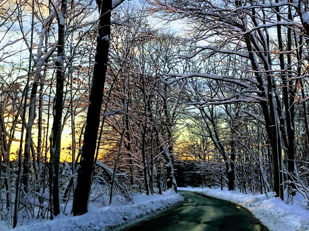 15 Grafton Road Upton, MA 01568 - Photo 42 of 42 Gallery Image 42